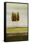 Morning Hue 1-Cheryl Martin-Framed Stretched Canvas