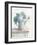 Morning Hydrangeas II-Danhui Nai-Framed Art Print