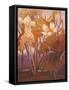 Morning in Autumn-Ailian Price-Framed Stretched Canvas