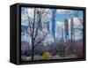 Morning in Central Park-Marco Carmassi-Framed Stretched Canvas