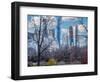 Morning in Central Park-Marco Carmassi-Framed Photographic Print