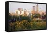 Morning in Des Moines-benkrut-Framed Stretched Canvas