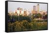 Morning in Des Moines-benkrut-Framed Stretched Canvas