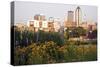 Morning in Des Moines-benkrut-Stretched Canvas
