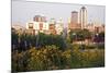 Morning in Des Moines-benkrut-Mounted Photographic Print