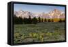 Morning in Pilgrim Creek Meadows, Grand Teton NP, Wyoming-Michael Qualls-Framed Stretched Canvas