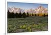 Morning in Pilgrim Creek Meadows, Grand Teton NP, Wyoming-Michael Qualls-Framed Photographic Print