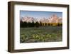 Morning in Pilgrim Creek Meadows, Grand Teton NP, Wyoming-Michael Qualls-Framed Photographic Print