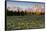 Morning in Pilgrim Creek Meadows, Grand Teton NP, Wyoming-Michael Qualls-Framed Stretched Canvas