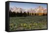 Morning in Pilgrim Creek Meadows, Grand Teton NP, Wyoming-Michael Qualls-Framed Stretched Canvas