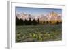 Morning in Pilgrim Creek Meadows, Grand Teton NP, Wyoming-Michael Qualls-Framed Photographic Print