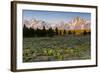 Morning in Pilgrim Creek Meadows, Grand Teton NP, Wyoming-Michael Qualls-Framed Photographic Print