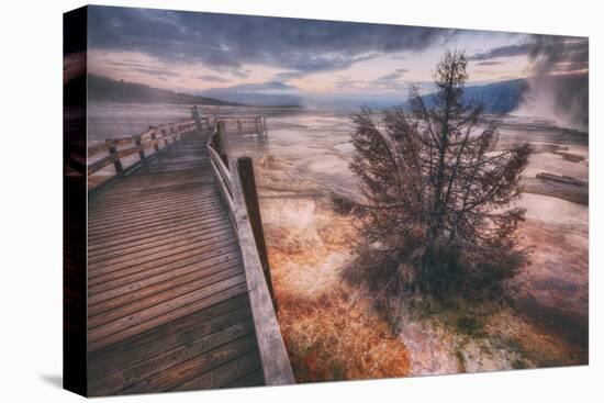 Morning in the Hot Springs, Yellowstone-Vincent James-Stretched Canvas