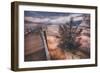 Morning in the Hot Springs, Yellowstone-Vincent James-Framed Photographic Print