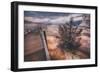 Morning in the Hot Springs, Yellowstone-Vincent James-Framed Photographic Print