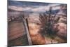 Morning in the Hot Springs, Yellowstone-Vincent James-Mounted Photographic Print