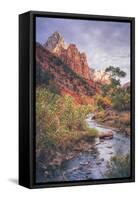 Morning in Zion Canyon, Southwest Utah-Vincent James-Framed Stretched Canvas