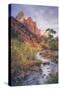 Morning in Zion Canyon, Southwest Utah-Vincent James-Stretched Canvas