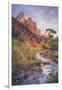 Morning in Zion Canyon, Southwest Utah-Vincent James-Framed Photographic Print