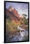 Morning in Zion Canyon, Southwest Utah-Vincent James-Framed Photographic Print
