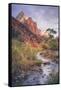 Morning in Zion Canyon, Southwest Utah-Vincent James-Framed Stretched Canvas