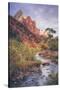 Morning in Zion Canyon, Southwest Utah-Vincent James-Stretched Canvas