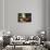 Morning Lace-Egidio Antonaccio-Framed Art Print displayed on a wall