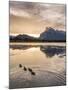 Morning landscape in the Vermilion Lakes, Banff National Park, UNESCO World Heritage Site, Canadian-JIA HE-Mounted Photographic Print