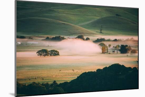 Morning Light and Fog, Petaluma Hills, Sonoma California-Vincent James-Mounted Photographic Print