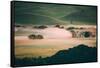 Morning Light and Fog, Petaluma Hills, Sonoma California-Vincent James-Framed Stretched Canvas