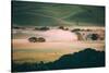 Morning Light and Fog, Petaluma Hills, Sonoma California-Vincent James-Stretched Canvas