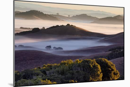 Morning Light and Misty Hills, Petaluma, Sonoma County, Northern California-Vincent James-Mounted Photographic Print