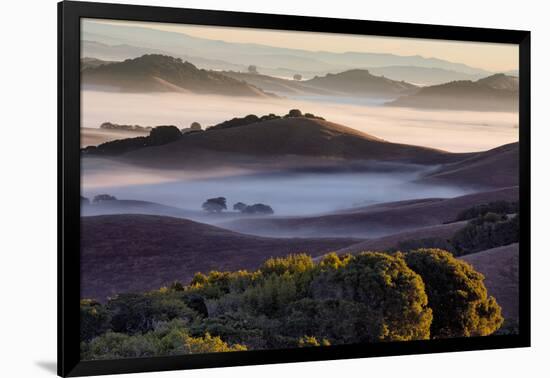 Morning Light and Misty Hills, Petaluma, Sonoma County, Northern California-Vincent James-Framed Photographic Print