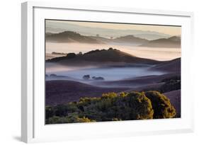 Morning Light and Misty Hills, Petaluma, Sonoma County, Northern California-Vincent James-Framed Photographic Print