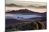 Morning Light and Misty Hills, Petaluma, Sonoma County, Northern California-Vincent James-Mounted Photographic Print