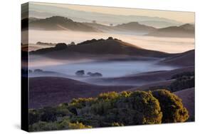 Morning Light and Misty Hills, Petaluma, Sonoma County, Northern California-Vincent James-Stretched Canvas