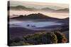 Morning Light and Misty Hills, Petaluma, Sonoma County, Northern California-Vincent James-Stretched Canvas
