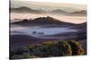 Morning Light and Misty Hills, Petaluma, Sonoma County, Northern California-Vincent James-Stretched Canvas