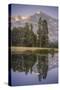 Morning Light and Reflection at Tenaya Lake Yosemite-Vincent James-Stretched Canvas