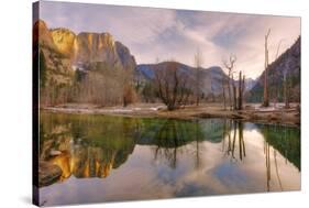 Morning Light and Valley Reflections, Yosemite-Vincent James-Stretched Canvas