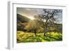 Morning Light at Mount Diablo, Walnut Creek, Danville, Contra Costa-Vincent James-Framed Photographic Print