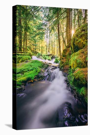 Morning Light at Panther Creek, Columbia River Gorge, Washington-Vincent James-Stretched Canvas