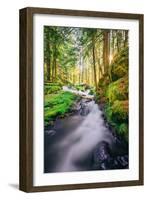 Morning Light at Panther Creek, Columbia River Gorge, Washington-Vincent James-Framed Photographic Print