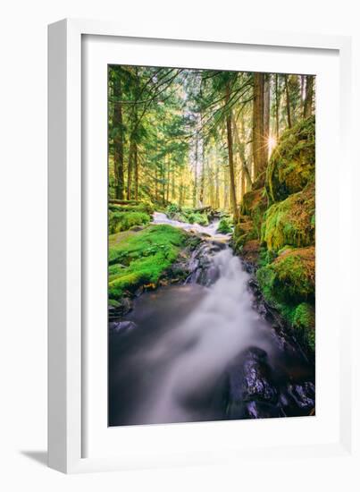 Morning Light at Panther Creek, Columbia River Gorge, Washington-Vincent James-Framed Photographic Print