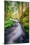 Morning Light at Panther Creek, Columbia River Gorge, Washington-Vincent James-Mounted Photographic Print