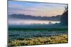 Morning Light at Petaluma Ranch, Sonoma County, California-Vincent James-Mounted Photographic Print