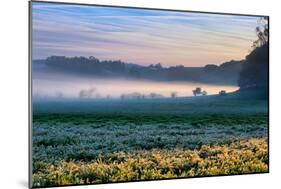 Morning Light at Petaluma Ranch, Sonoma County, California-Vincent James-Mounted Photographic Print