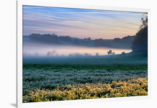 Morning Light at Petaluma Ranch, Sonoma County, California-Vincent James-Framed Photographic Print