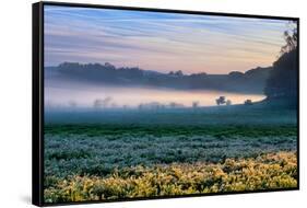 Morning Light at Petaluma Ranch, Sonoma County, California-Vincent James-Framed Stretched Canvas