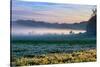 Morning Light at Petaluma Ranch, Sonoma County, California-Vincent James-Stretched Canvas